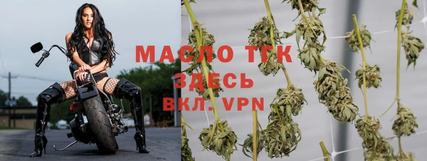 скорость Бородино